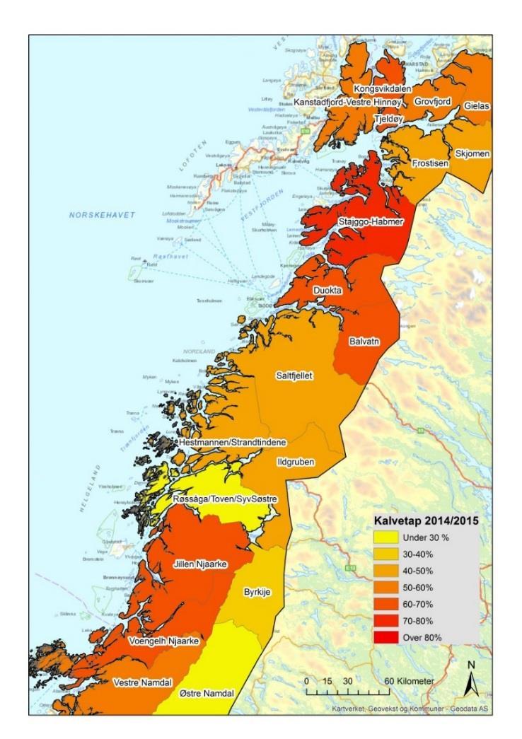 Figur 3. Kart med utvikling i tapsprosent for kalv i reinbeitedistriktene i og rundt Nordland i perioden 214-216, basert rapporterte tall i Melding om reindrift.