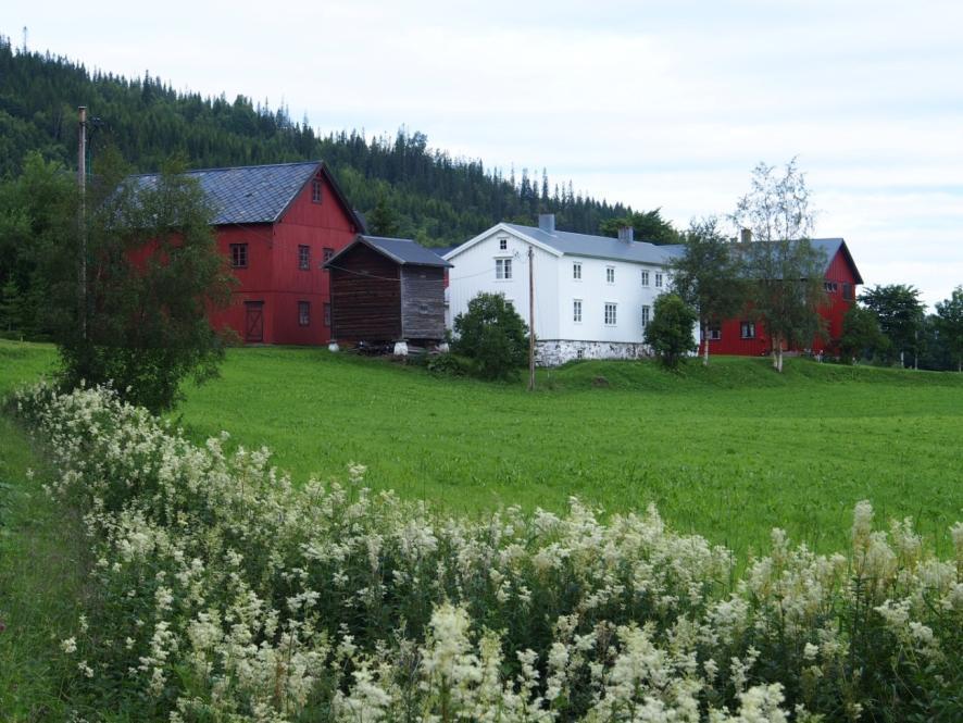 Figur 4.8. Representativt trøndersk gårdstun, med lån, stabbur og rødmalte driftsbygninger på Midtstokkan.