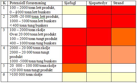 Miljørisiko for sjøfugl, sjøpattedyr og strand segment 1