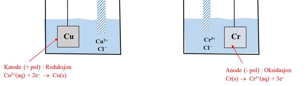 Nedenfor er det tegnet en skisse av cellen. I begge karene må det være anioner (negative ioner) tilstede. Det er ikke mulig å ha et kar som ikke er elektronøyralt.