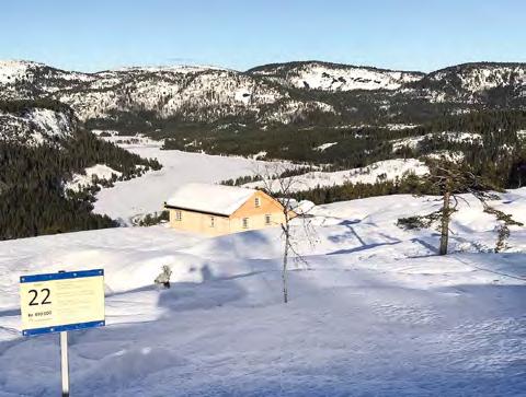 RYTTERSPRANGET TERRASSE Tomtenr. Kvm. Maks kotehøyde i moh. Maks mønehøyde på hytta i meter Pris i kr.