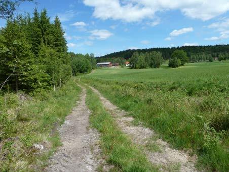 Elgåfossen er Østfolds og Båhuslens høyeste uregulerte