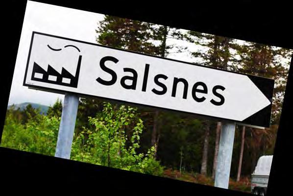 Salsnes Filter AS Etablert i 1991 - del av Trojan Technologies fra januar 2012 Alle