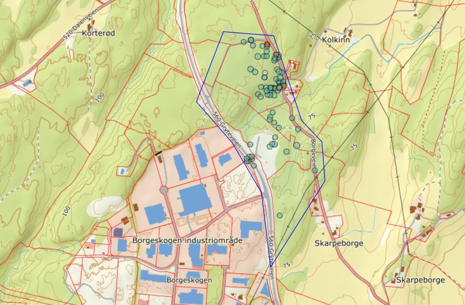 Figur 5: Registrerte arter i tiltaksområdet, omgitt med blått polygon.