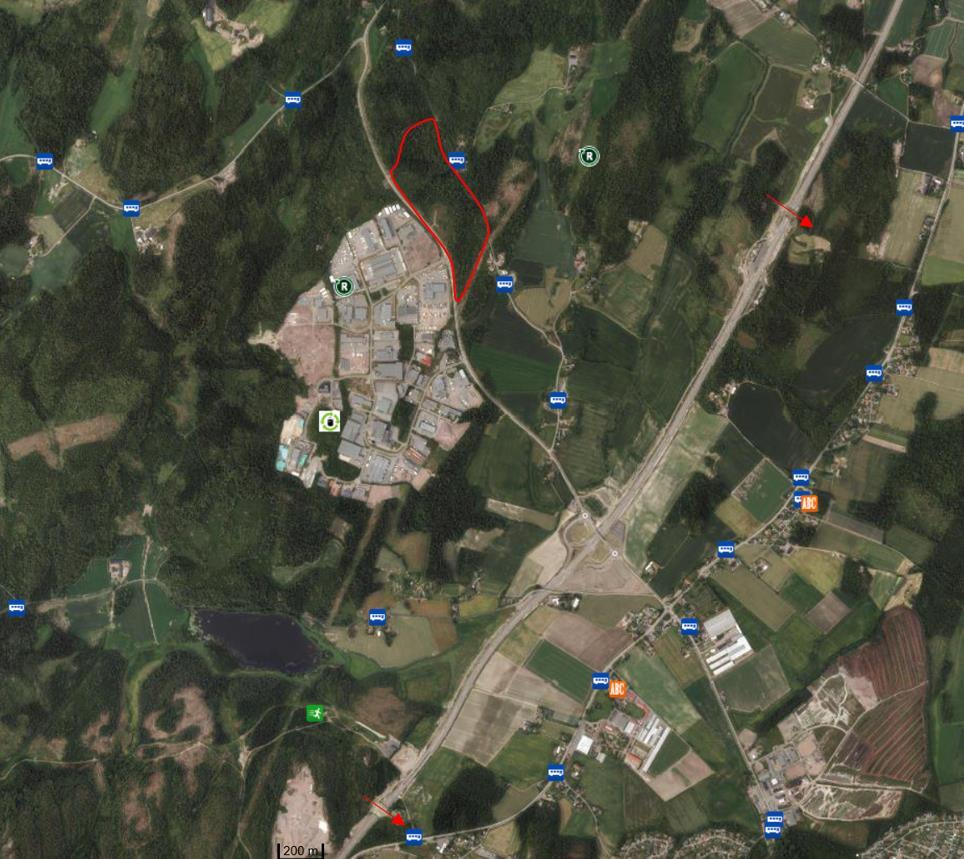 3.5 Vilt Området Borgeskogen og Ramsum har i lengre tid vært et viktig trekkområde for elg i retning nordøstsørvest.