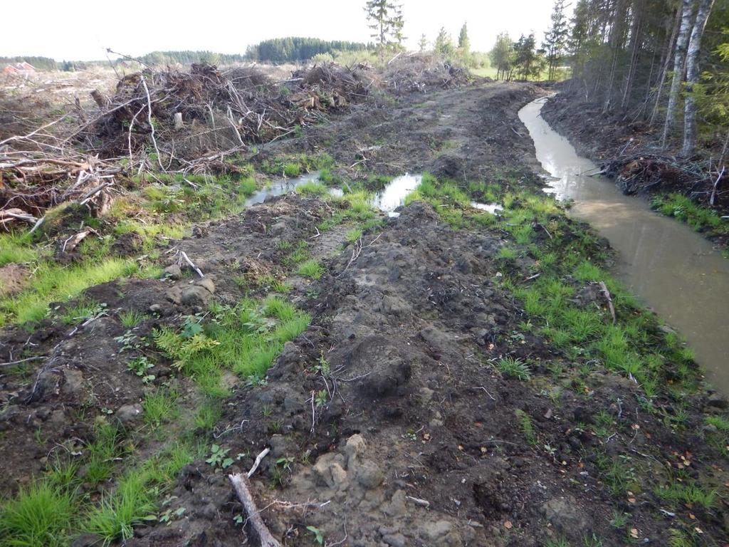 Wergeland Krog Naturkart Ødegård i Trøgstad.