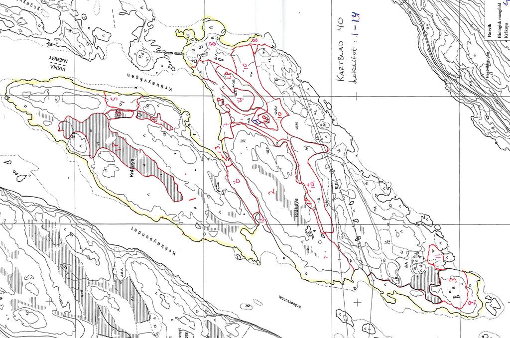 Kart Kråkøya - lokaliteter 2. Kartlegging av evt. rødlistearter, fremstilt i et vegetasjonskart i Naturbase.