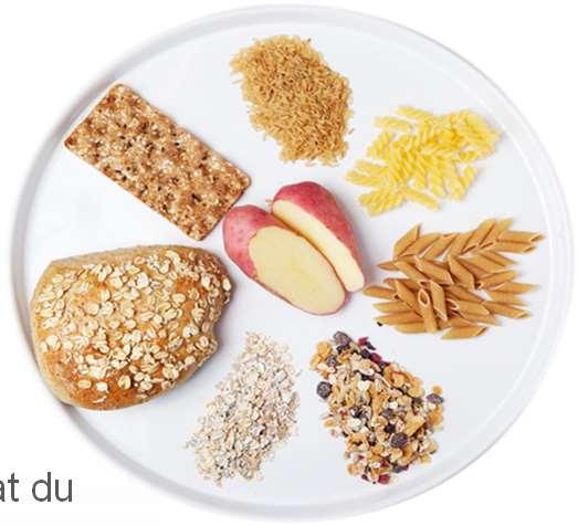 eks saus, dressing, olje, margarin, fet fisk, nøtter, avokado) Karbohydratrik mat = BENSIN Kroppens viktigste