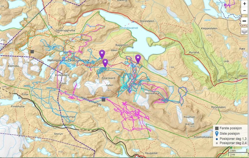 GPS-posisjoner, Nordfjella villreinområde