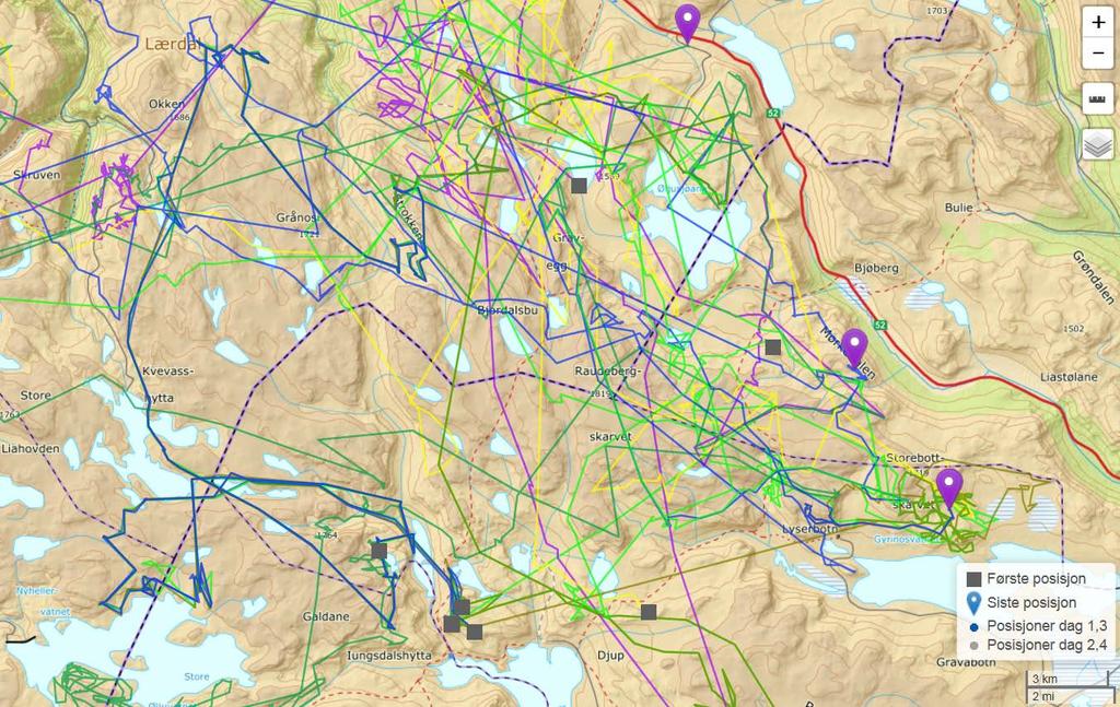 GPS-posisjoner, Nordfjella villreinområde 1.
