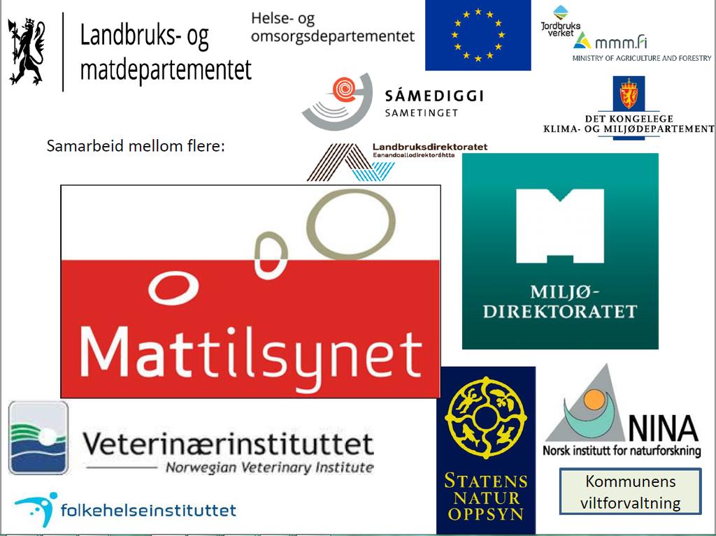 Plansje frå Mattilsynet, foredrag av