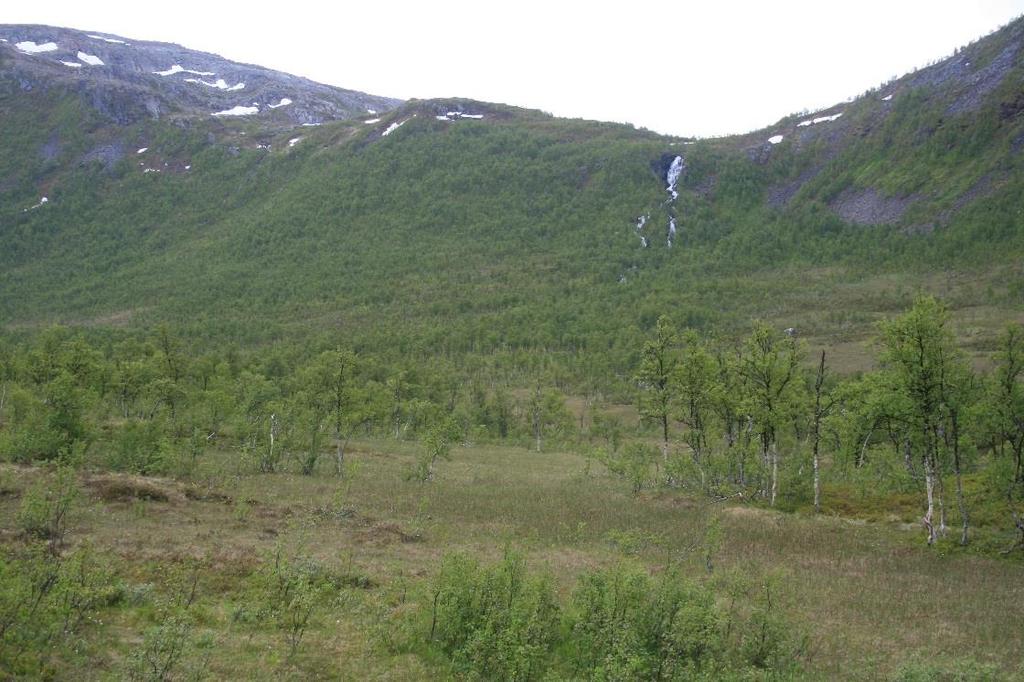 Troms Fylkeskommune uttaler: Området kraftverket planlegges i er det registrerte friluftsområdet Krokelvdalen der de største verdiene knytter seg til fravær av støy og inngrepsfrihet.