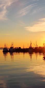 Nasjonalt ansvar Det er et nasjonalt ansvar å tilrettelegge for en regionreform som ivaretar fiskerinæringa og kystsamfunnene Rammebetingelsene i fiskerihavnene er grunnlaget for å drive