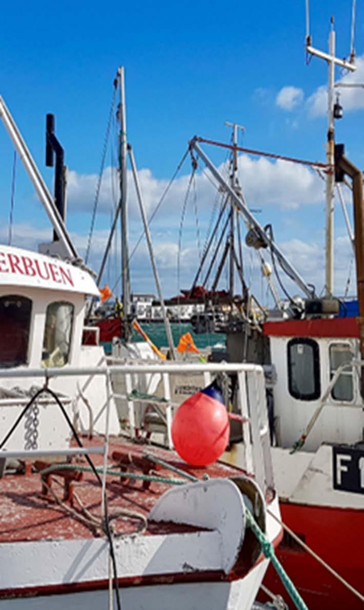 Regionreformen og forutsetninger Finnmark fylkeskommunen har ønsket nye regionale oppgaver velkommen, men har uttrykt skepsis til overtagelse av fiskerihavner Vårt fokus rettes mot å løse de nye