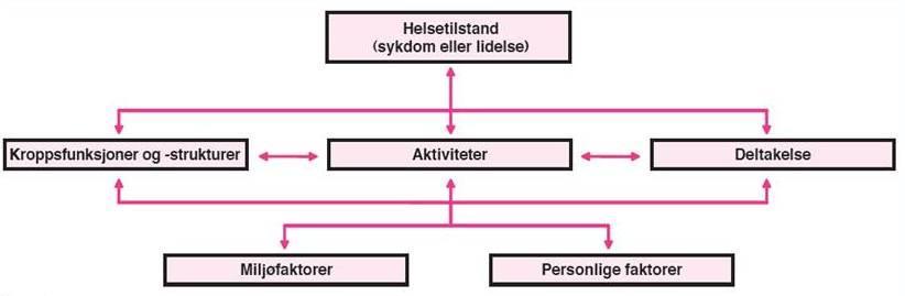 ICF Internasjonal klassifikasjon av funksjon, funksjonshemming og helse (WHO) Becker & Stanghelle 2014: Rehabilitering av voksne med