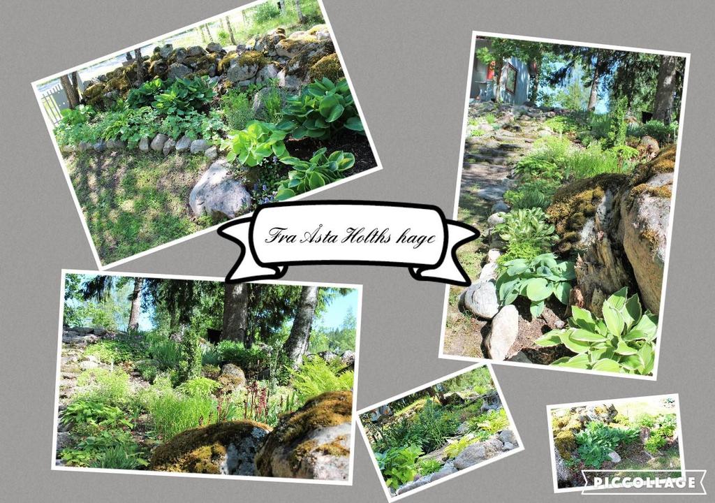 Bilder fra hagen som er opprettet i Åstas ånd Siste stopp