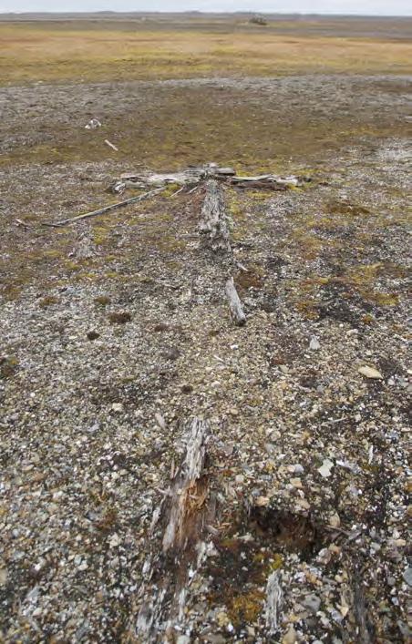 Arkeologisk feltregistrering 16.09.16 var undertegnende med på feltregistrering sammen med Sander Solnes fra Svalbard Museum og Snorre Haukalid og Martin Herrmann fra Sysselmannen.