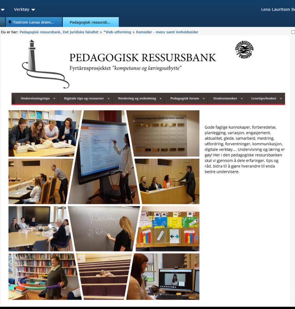 Pedagogisk ressursbank Vi har utarbeidet en pedagogisk ressursbanksom et eget rom i Fronter. Dette har alle ansatte ved det juridiske fakultet tilgang til.