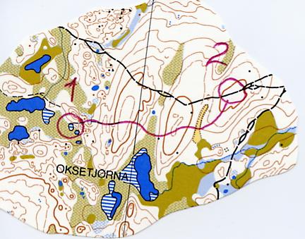 Øvelse 3: Tren på å forstå høydekurver Følg den røde linjen fra 1. til 2.post 1. Hvor går det opp og ned? 2. Hvor mange meter omtrent går det opp og ned?