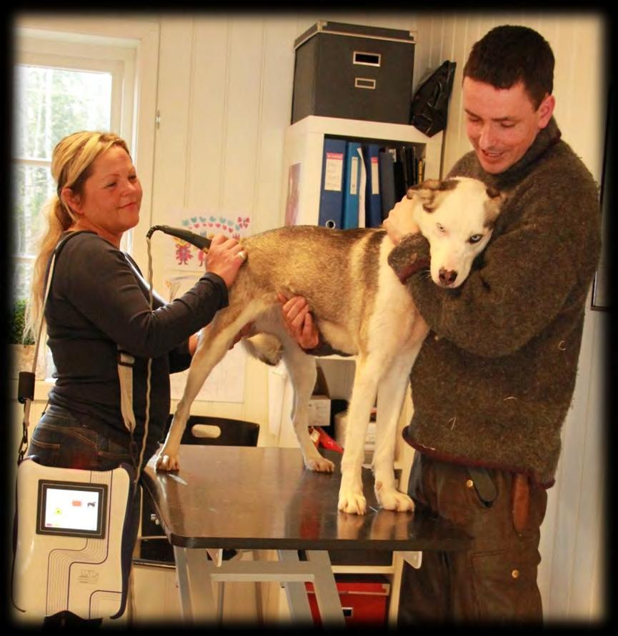 Generell informasjon Undervisningen gir en primær utdannelse innen fysikalsk behandling og rehabilitering av dyr.