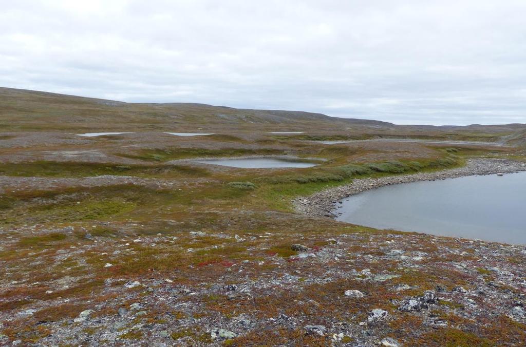 Coalbmevággi Bilde 2: Oversiktsbilde over dødislandskap ved Coalbmevággi sett mot sørøst.