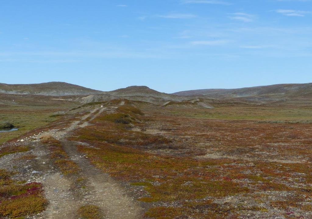 En del av kjøresporet mellom Somashytta og punktet for elvekrysning nord for Somasjávri går gjennom et område med tundrapolygoner (bilde 4).