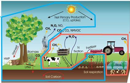 Land Use, Land Use Change and AGRICULTURE non-co 2 Forestry (LULUCF): CO 2 (CH 4,