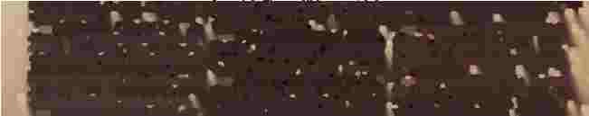 SAlaj: buletinul de Ineerier la Biroul populatiei Nr 165 din 1945, eliberat de Primiria cam Jibäu, Sglaj - NITA B BARANGA din comuna Leu, jud Romanati: autorizatia cazanului pentru fabricat rachiu Nr