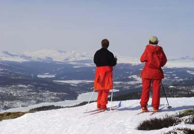 Wiegaard Skog