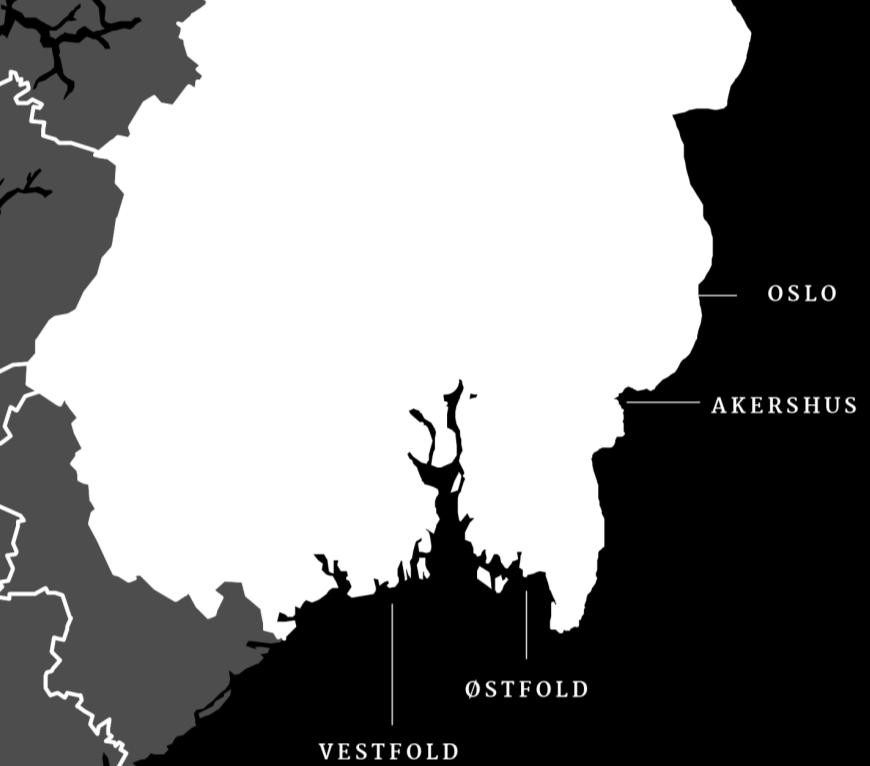 Hva kan Viken gjøre anbefalinger* Et stort mangfold av klynger og nettverk er et regionalt fortrinn for Østlandet.