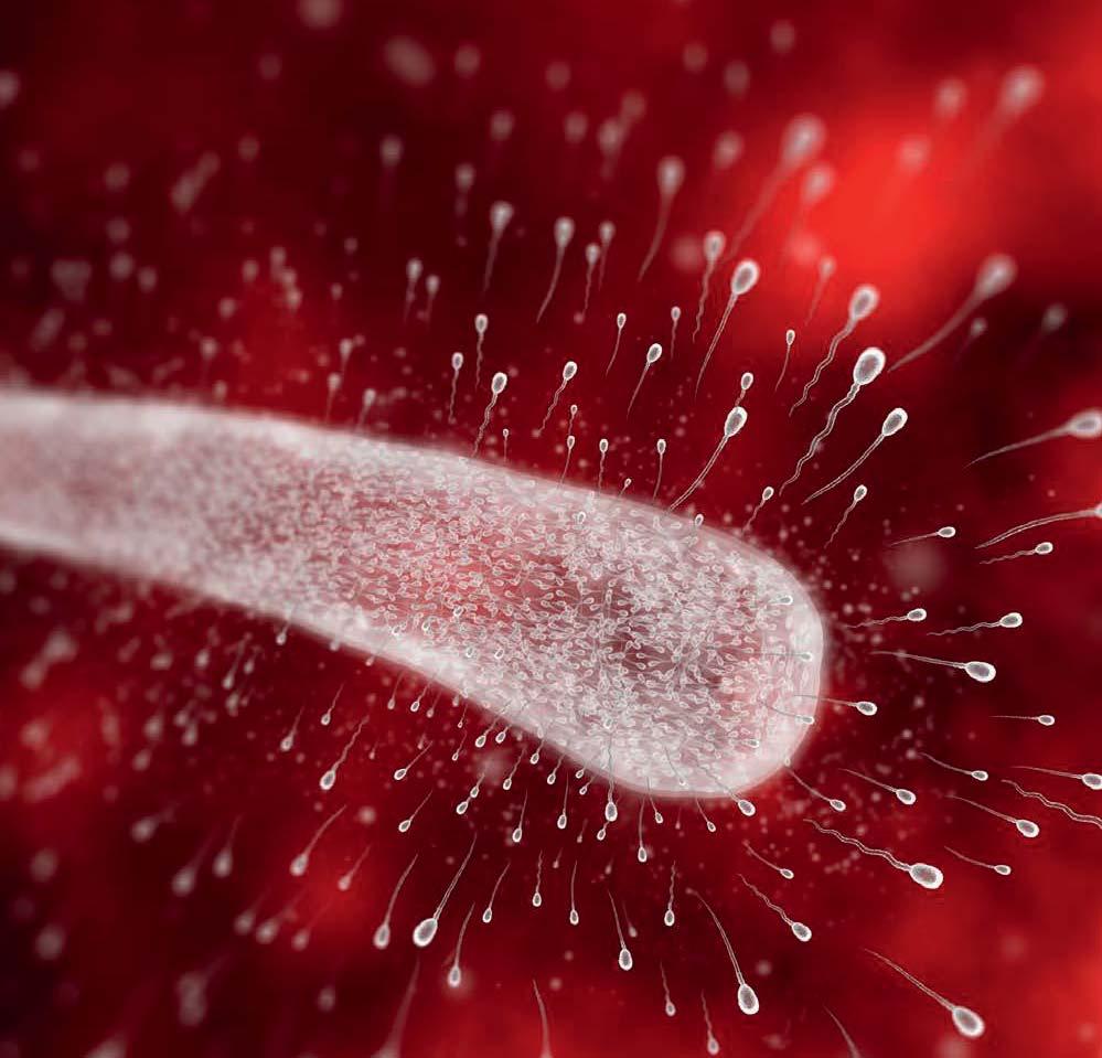 20 SpermVital as 2014 vil bli stående som året da SpermVital fikk sitt endelige internasjonale gjennombrudd. Året da det ble solgt flere SpermVital-doser utenlands enn i Norge.