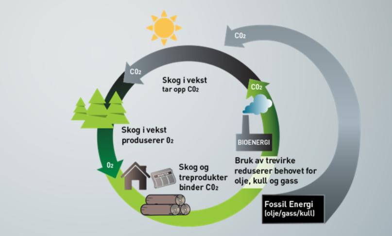 Fra lineær til sirkulær