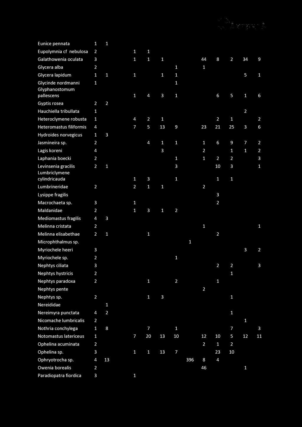 Eunice pennata 1 1 Eupolymnia cf nebulosa 2 1 1 Galathowenia oculata 3 1 1 1 44 8 2 34 9 Glycera alba 2 1 1 Glycera lapidum 1 1 1 1 1 5 1 Glycinde nordmanni 1 1 Glyphanostomum pallescens 1 4 3 1 6 5