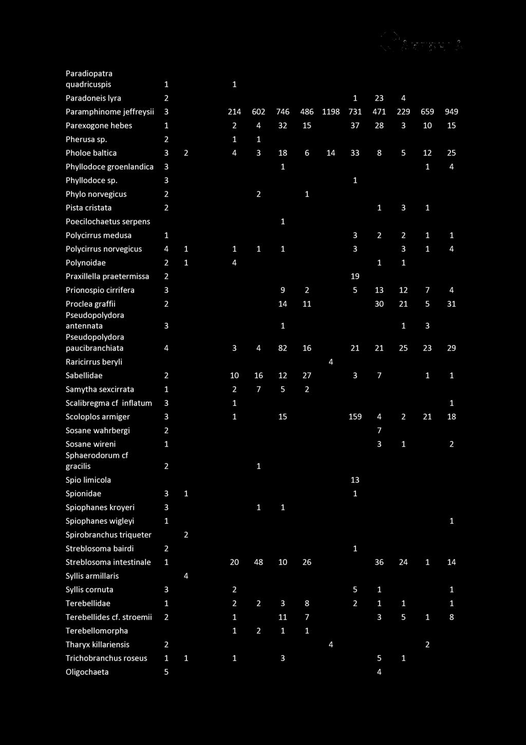 Paradiopatra quadricuspis 1 1 Paradoneis lyra 2 1 23 4 Paramphinome jeffreysii 3 214 602 746 486 1198 731 471 229 659 949 Parexogone hebes 1 2 4 32 15 37 28 3 10 15 Pherusa sp.
