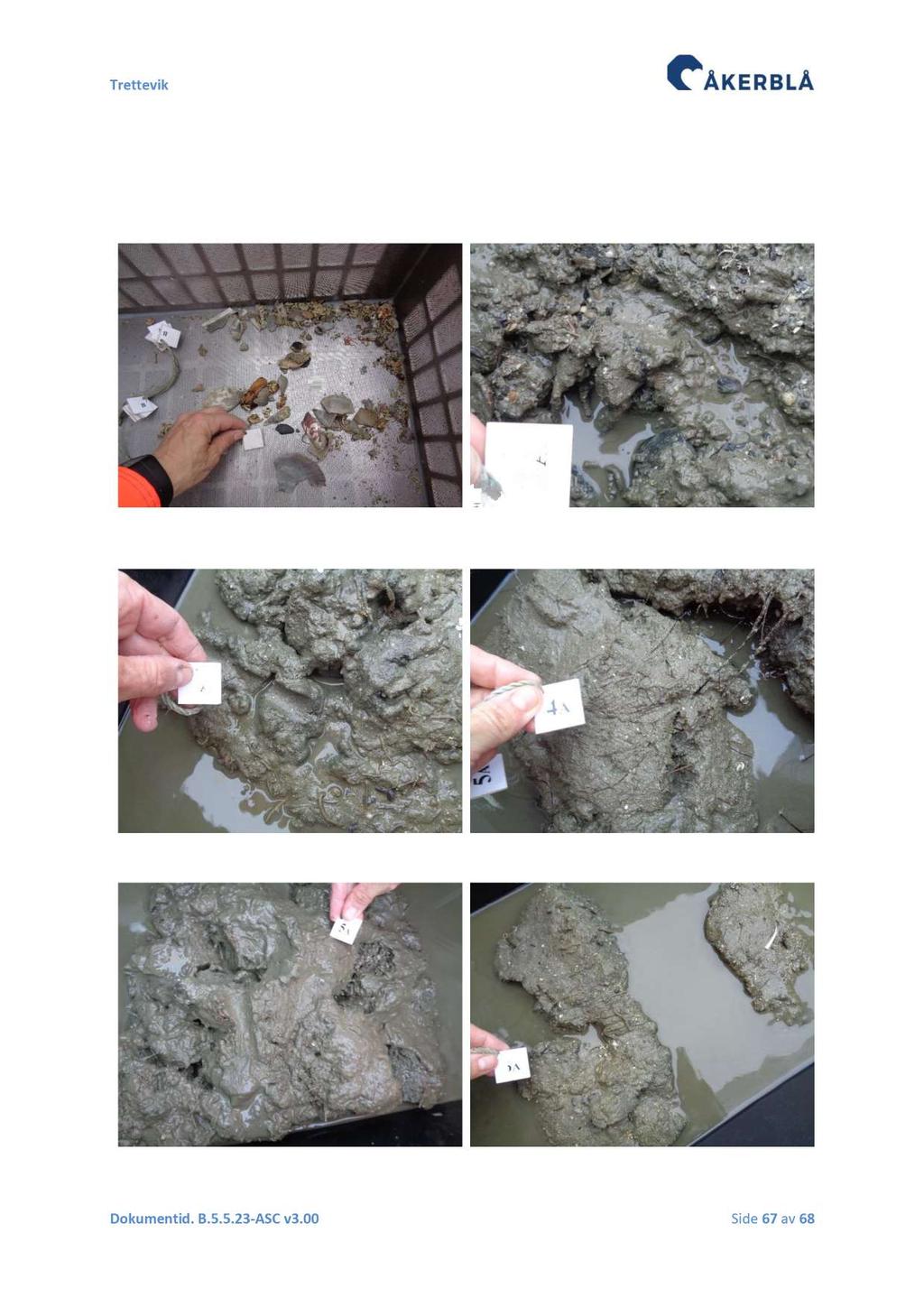 Vedlegg 9 Bilder av sediment Det ble tatt bilder av sedimentet fra ett hugg per stasjon etter at