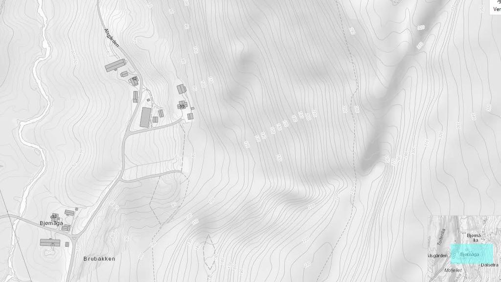 - Snøskred 1882 25. feb. kl. 0600 - Kårboligen på gården Bjørnåga i Vefsn gikk i snøskred og 2 omkom. Dette snøskredet var nesten like stort som det som gikk i romjula 1721.