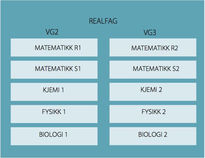 Info om fagvalg Til VG2 skal du velge matematikk, og tre programfag. To programfag må komme fra samme programområde (samfunnsfag eller realfag). Det tredje faget kan være fra det andre området.