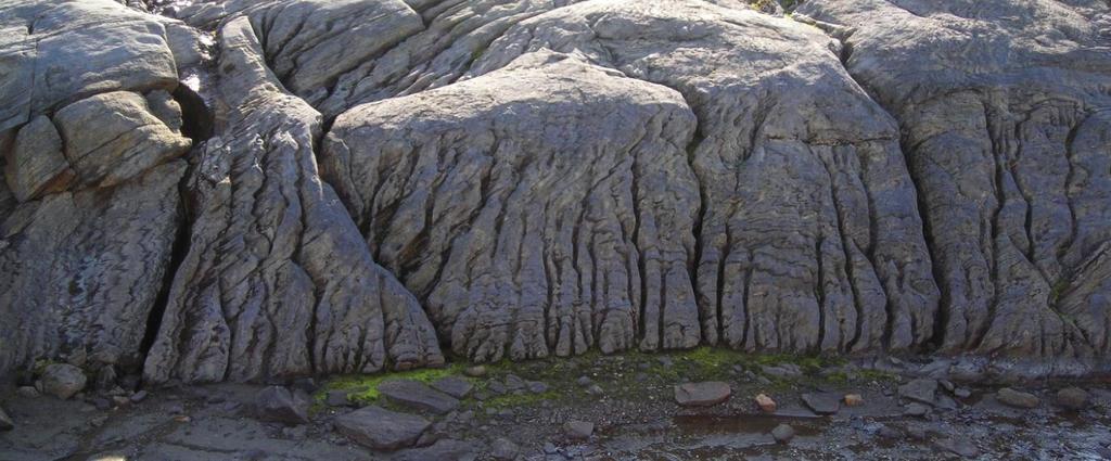 Bilde 9 Godt utviklet rennekarren ved