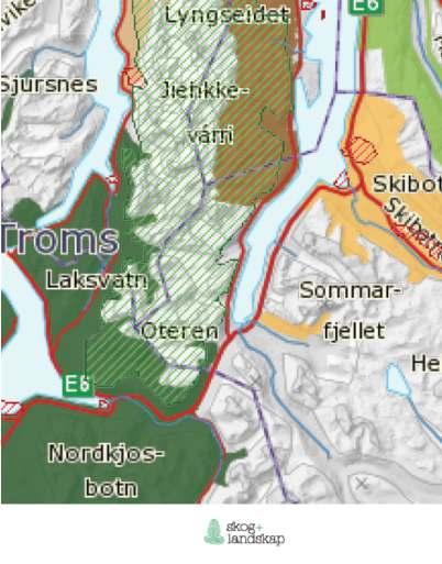 Skog og landskap har utført en vegetasjons- og beitekartlegging i store deler av beiteområdene i Lyngen kommune.