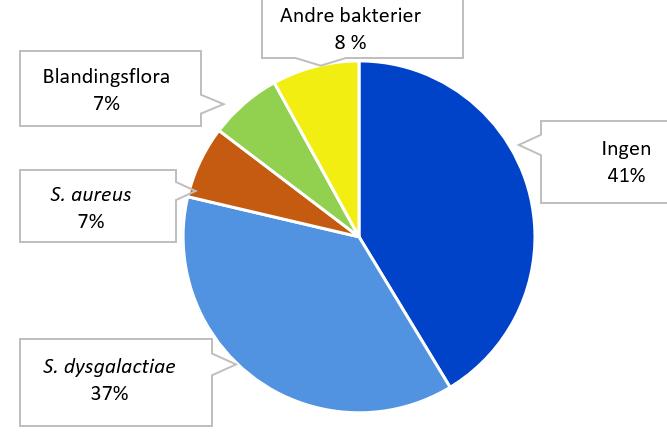 Bakteriefunn 2016 og 2017, prøver fra ledd 2016 (prøver