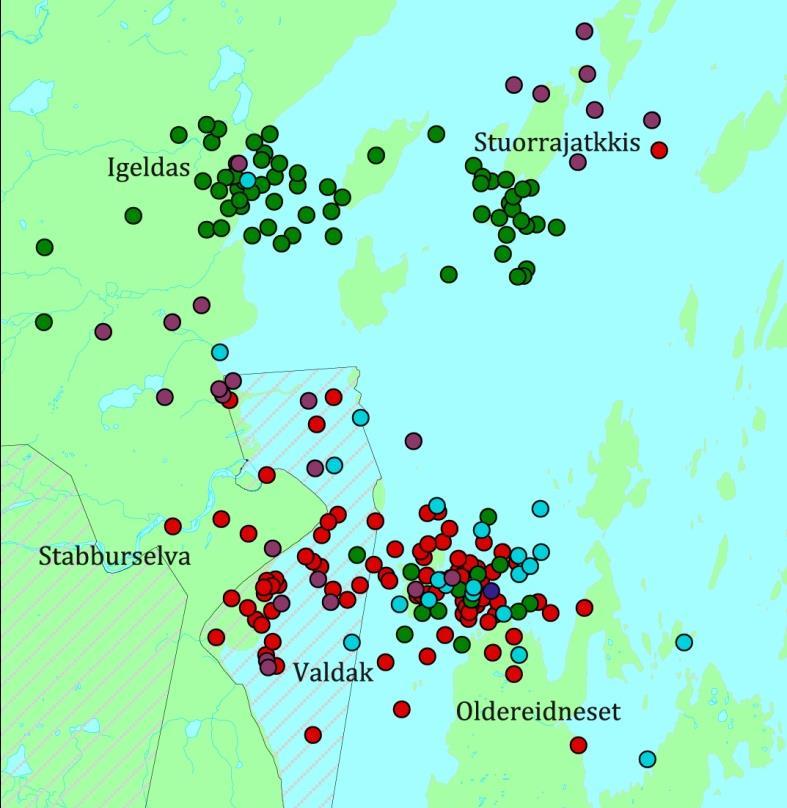 2010: Den ene av de to hunnene som fikk satellittsender i Porsangerfjorden i 2010 oppsøkte to forskjellige våtmarksområder hhv. 25. mai og så igjen 5. juni.