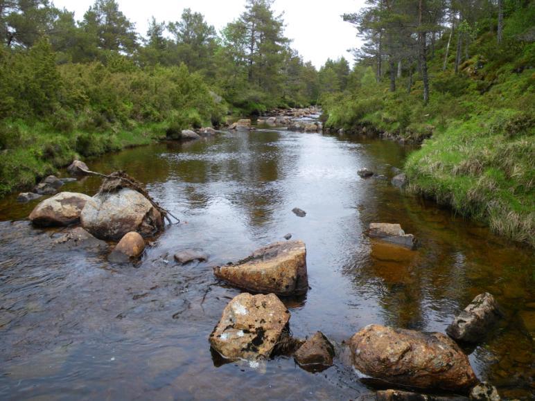 Larsen. Skumfosselva.