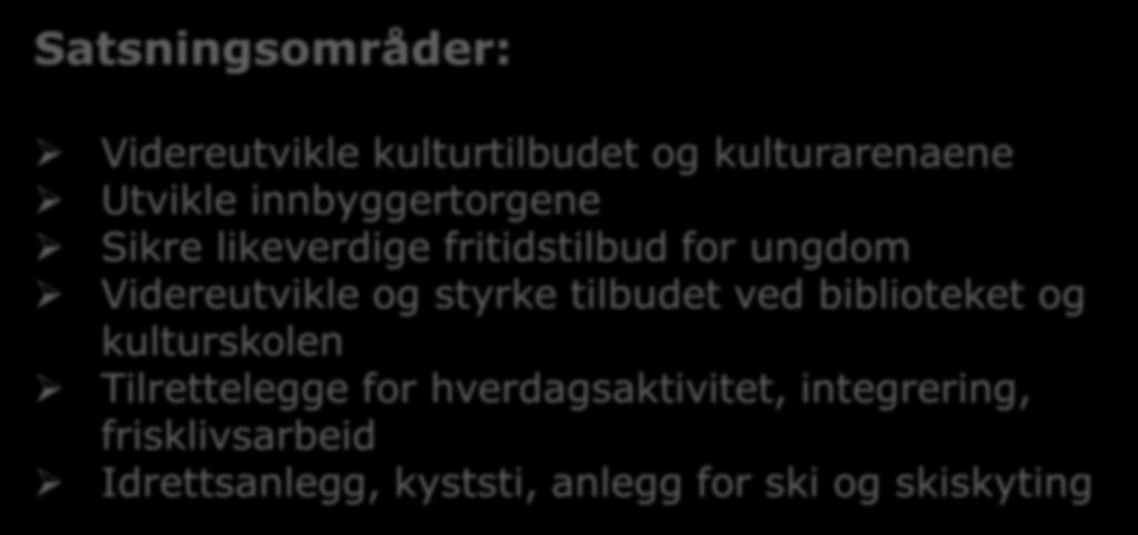 Driftsbudsjett Kultur, frivillighet og fritid Tjenesteområde Kultur, frivillighet og fritid har et samlet driftsbudsjett på 195 mill. kroner i 2019. Det er en økning på 8 mill.