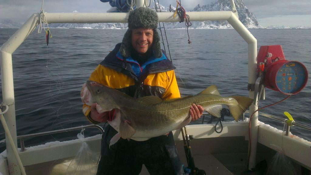 De fleste valgte å legge seg ganske nær Svolvær, noen reiste lenger ut, og andre ned mot flyplassen, og over mot Skrova. Det virket som om det var godt med fisk inne i fjorden.