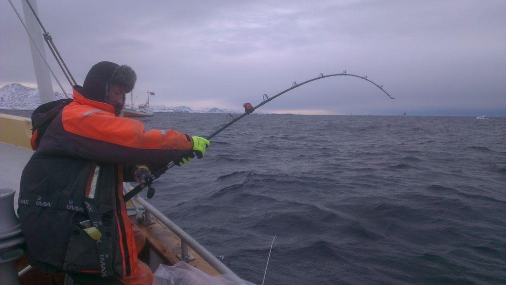 Magne Øvregård, NordJæren Havfiskeklubb med en torsk på 27 kg var den største fisken i Lofotcup. Innveiingen gikk ganske bra. Det var lite kø da vi kom inn. Masse folk og god stemning på kaia.