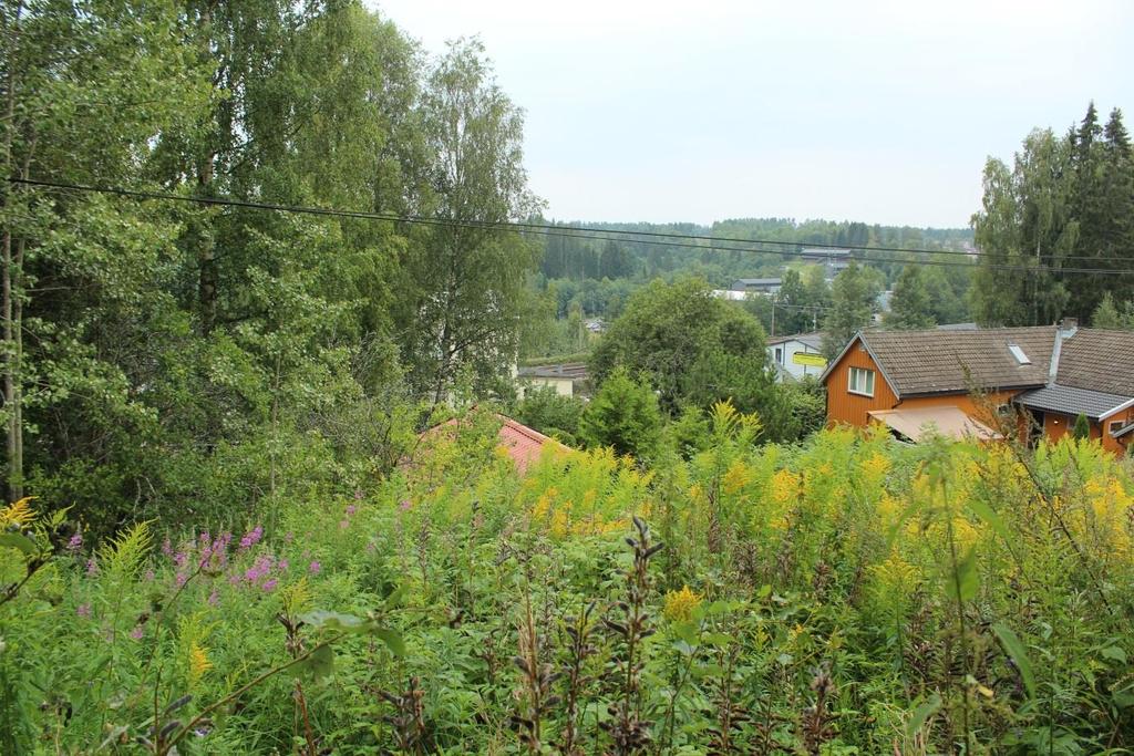 Innledning Bakgrunn for registreringen er regulering på Hjerna nedre gbnr. 92/54 i Eidsvoll kommune. Registreringen oppfyller undersøkelsesplikten i henhold til kulturminneloven 9.