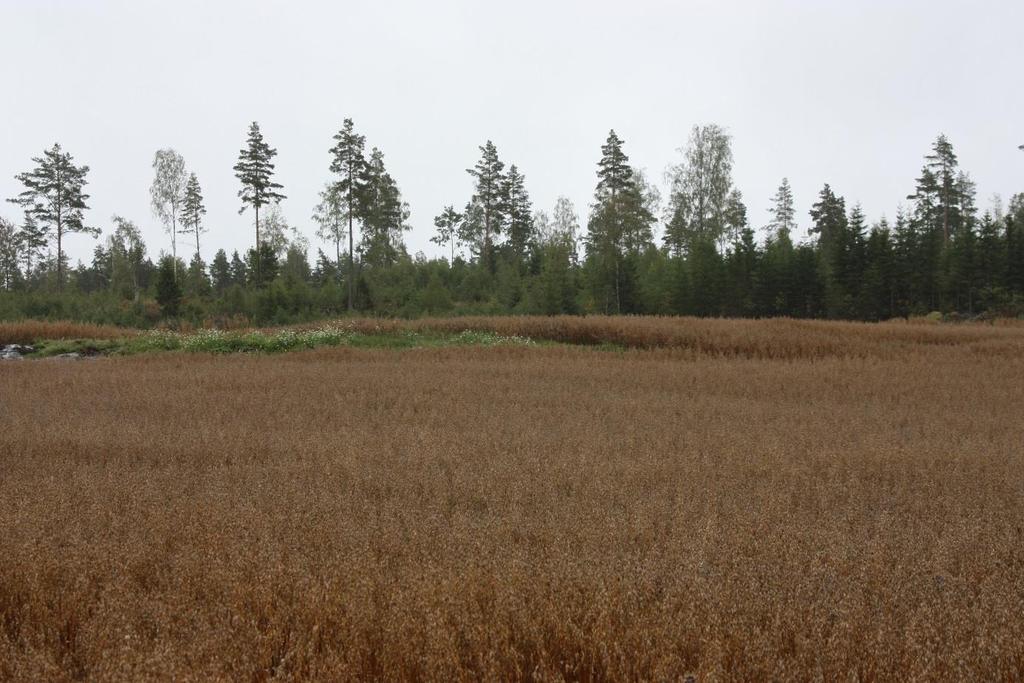 NATUR, PLAN OG UTVIKLING RISIKO- OG SÅRBARHETSANALYSE DETALJREGULERING