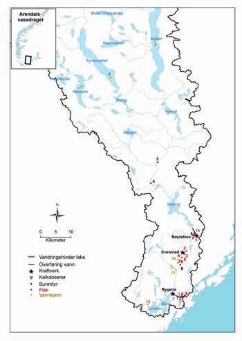 Tabell 1. Kalkforbruk (tonn CaCO 3 ) i Arendalsvassdraget for perioden 2008-2017. Data fra Fylkesmannen i Austog Vest-Agder og Telemark.