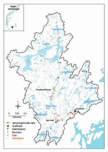Tabell 1. Kalkforbruk (tonn CaCO 3 ) i Vegårvassdraget for perioden 2008-2017. Det kalkes fra kun en doserer (Hauglandsfossen). Antall kalkede innsjøer står i parentes.