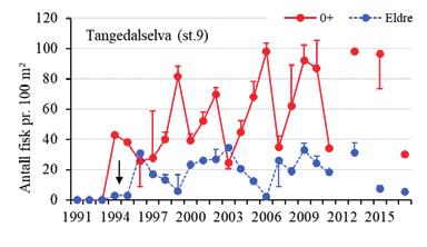 Figur 7. Gjennomsnittlige tetthet av ørret (± 95 % konfidensintervall) for stasjon 9 (Tangedalselva) i Yndesdalsvassdraget siden 19